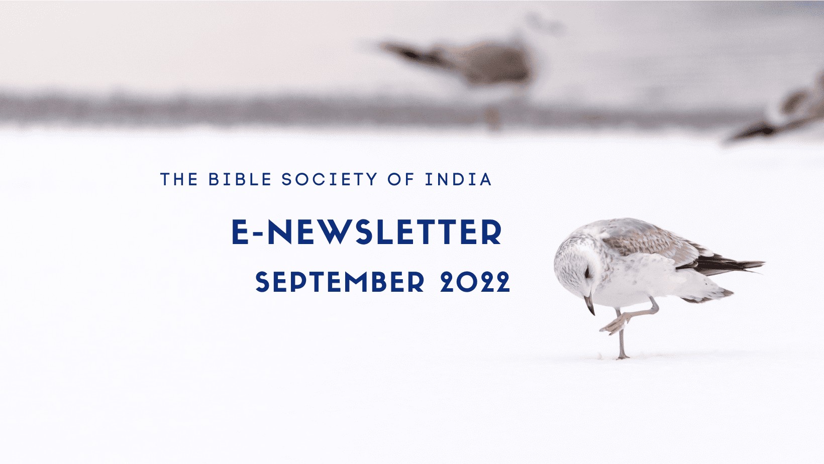 e-news website image(1)(1)