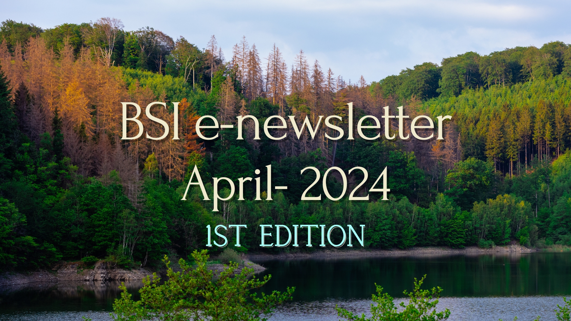 april 1st edition
